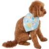 Frisco Birthday Pup Dog & Cat Bandana