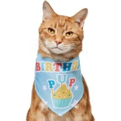 Frisco Birthday Pup Dog & Cat Bandana -Pet Cat Shop 315130 PT2. AC SS1800 V1646437964
