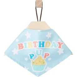 Frisco Birthday Pup Dog & Cat Bandana -Pet Cat Shop 315130 PT4. AC SS1800 V1646441905