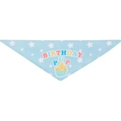 Frisco Birthday Pup Dog & Cat Bandana -Pet Cat Shop 315130 PT5. AC SS1800 V1646434611