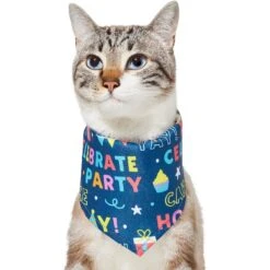 Frisco Celebration Dog & Cat Bandana -Pet Cat Shop 315133 PT2. AC SS1800 V1646439780