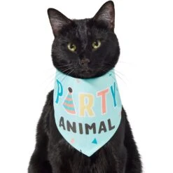 Frisco Party Animal Dog & Cat Bandana -Pet Cat Shop 315136 PT2. AC SS1800 V1646438016