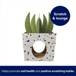 Frisco Potted Succulent Cardboard Cat House -Pet Cat Shop 317723 PT2. AC SS1800 V1689342085