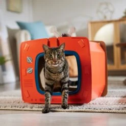 Frisco TV Set Cardboard Cat House -Pet Cat Shop 317731 PT4. AC SS1800 V1688677247