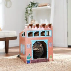 Frisco Southwestern House Cardboard Cat House -Pet Cat Shop 317739 PT3. AC SS1800 V1642099125