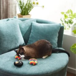 Frisco Pride Buttons Plush Cat Toy With Catnip, 3 Count -Pet Cat Shop 331688 PT3. AC SS1800 V1647355746