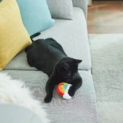 Frisco Pride Rainbow Plush Cat Toy With Silvervine -Pet Cat Shop 331690 PT3. AC SS1800 V1647355685