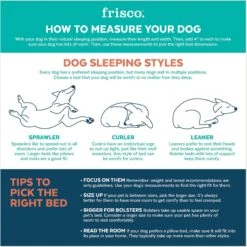 Frisco Cat Donut Bed 10 Frisco Cat Donut Bed -Pet Cat Shop 333854 PT3. AC SS1800 V1658718001