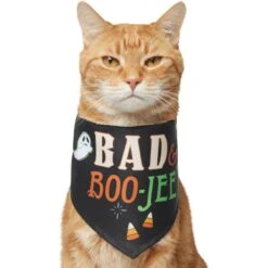 Frisco Bad & Boo-Jee Dog & Cat Costume Bandana -Pet Cat Shop 334807 PT2. AC SS1800 V1659034006