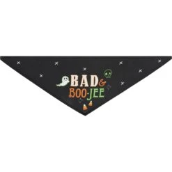 Frisco Bad & Boo-Jee Dog & Cat Costume Bandana -Pet Cat Shop 334807 PT5. AC SS1800 V1658368716