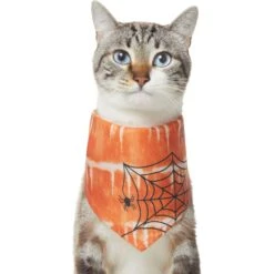 Frisco Orange Spiderweb Dog & Cat Costume Bandana -Pet Cat Shop 335046 PT2. AC SS1800 V1658716498