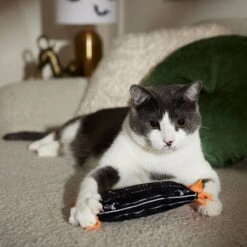 Frisco Halloween A-Paw-Thecary Kicker Plush Cat Toy With Catnip -Pet Cat Shop 344000 PT3. AC SS1800 V1657657029