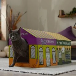 Frisco Halloween A-Paw-Thecary & Chop House Cardboard Cat House With Catnip -Pet Cat Shop 344002 PT3. AC SS1800 V1657657029
