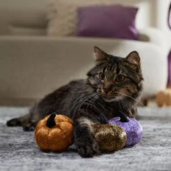 Frisco Halloween Bougie Pumpkins Plush Cat Toy With Catnip -Pet Cat Shop 344014 PT3. AC SS1800 V1657657029