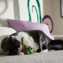 Frisco Haunted Burger Plush Cat Toy With Catnip 6 Frisco Haunted Burger Plush Cat Toy With Catnip -Pet Cat Shop 344056 PT3. AC SS1800 V1657657030