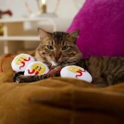 Frisco Halloween Haunted Deviled Eggs Plush Cat Toy With Catnip 6 Frisco Halloween Haunted Deviled Eggs Plush Cat Toy With Catnip -Pet Cat Shop 344058 PT3. AC SS1800 V1657657030