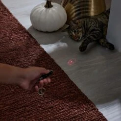 Frisco Halloween Skull Laser Cat Toy -Pet Cat Shop 344068 PT3. AC SS1800 V1659279988