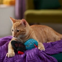 Frisco Halloween Elixirs Plush Cat Toy With Catnip 6 Frisco Halloween Elixirs Plush Cat Toy With Catnip -Pet Cat Shop 344070 PT3. AC SS1800 V1657657033