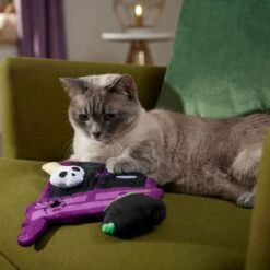 Frisco Halloween Magical Wardrobe Interactive Plush Cat Toy With Catnip 6 Frisco Halloween Magical Wardrobe Interactive Plush Cat Toy With Catnip -Pet Cat Shop 344078 PT3. AC SS1800 V1657657033