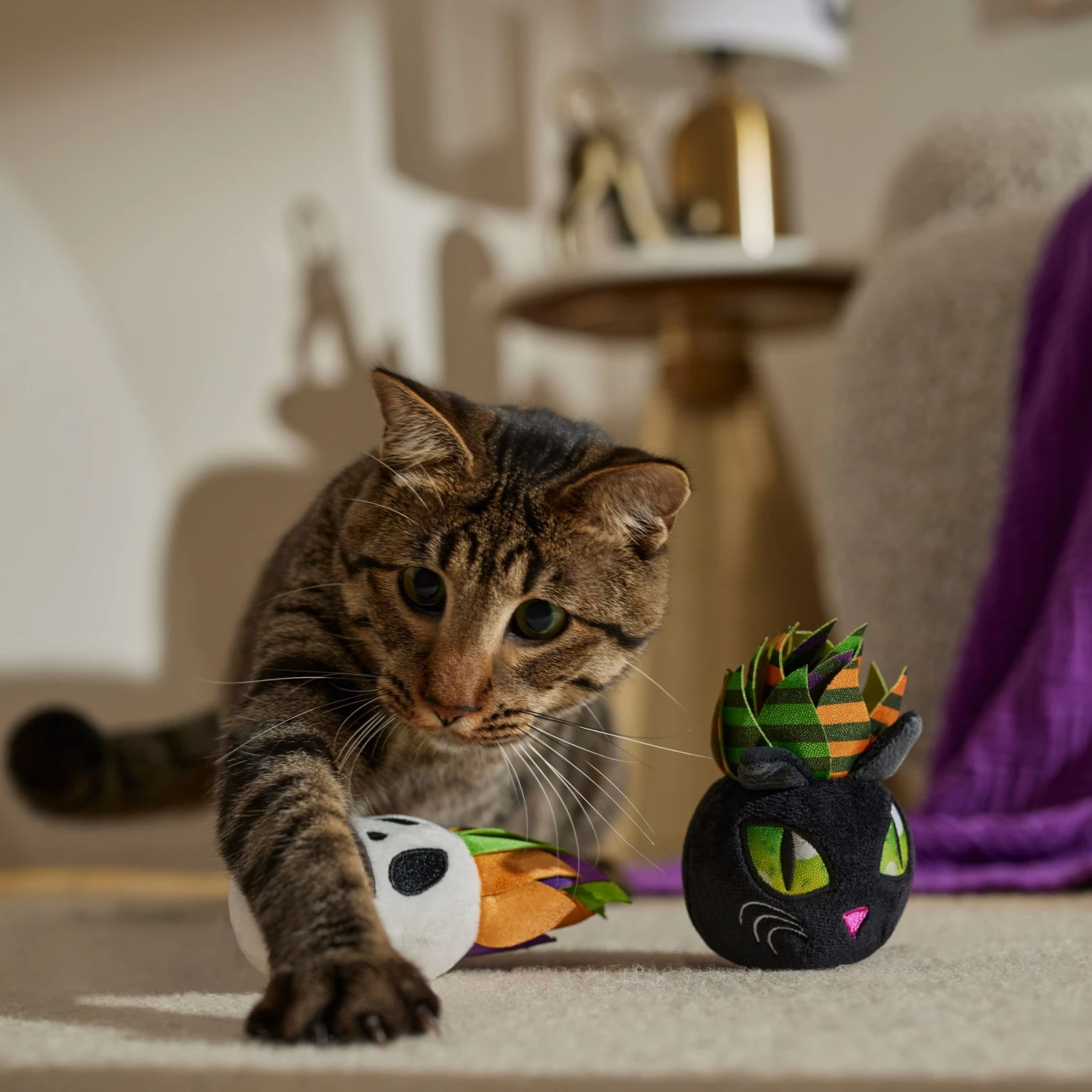 Frisco Halloween Succulents Plush Cat Toy With Catnip, 2 Count 3 Frisco Halloween Succulents Plush Cat Toy With Catnip, 2 Count - Image 3
