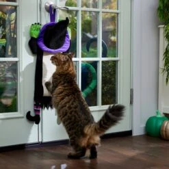 Frisco Halloween Witch Doorknob Hanger Cat Toy With Catnip 8 Frisco Halloween Witch Doorknob Hanger Cat Toy With Catnip -Pet Cat Shop 344092 PT3. AC SS1800 V1657657035