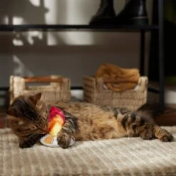 Frisco Fall Campfire Plush Cat Toy With Catnip -Pet Cat Shop 344178 PT3. AC SS1800 V1659023182