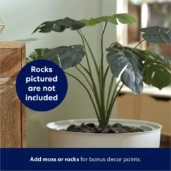 Frisco Hidden Planter Cat Litter Box, 16-in 10 Frisco Hidden Planter Cat Litter Box, 16-in -Pet Cat Shop 345566 PT4. AC SS1800 V1668737273