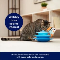Frisco Fish In Ocean Wobble & Spin Cat Tracks Cat Toy With Catnip -Pet Cat Shop 345926 PT3. AC SS1800 V1664288803