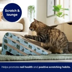 Frisco Nesting Cat Scratcher Toy With Catnip, Tropical Paradise -Pet Cat Shop 347215 PT3. AC SS1800 V1659699261