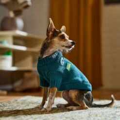 Frisco Teal Button Down Dog & Cat Sweater 12 Frisco Teal Button Down Dog & Cat Sweater -Pet Cat Shop 353580 PT7. AC SS1800 V1660749932
