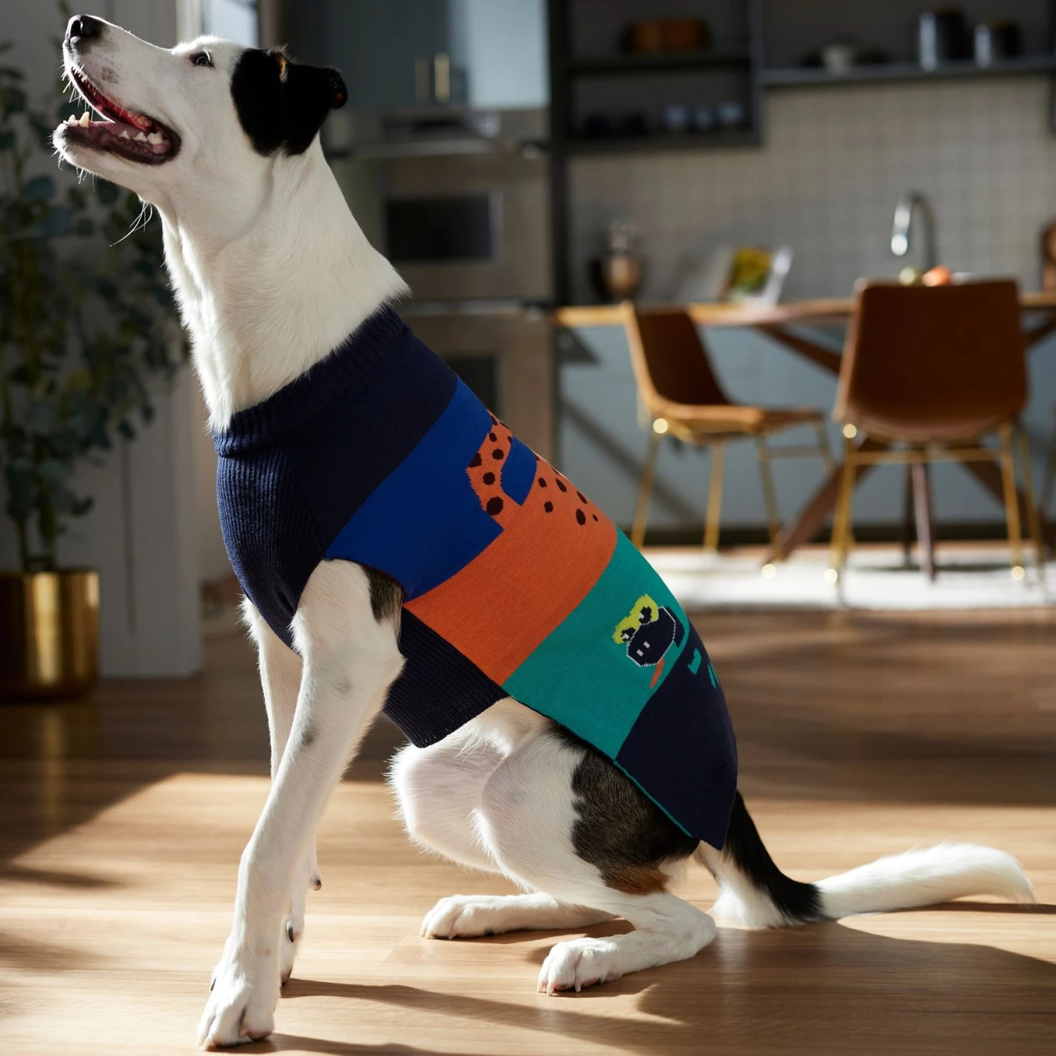 Frisco Anaconda Cheetah Colorblock Dog & Cat Sweater 6 Frisco Anaconda Cheetah Colorblock Dog & Cat Sweater - Image 6