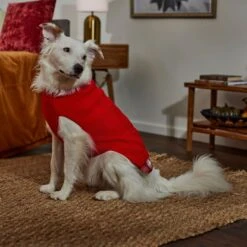 Frisco Plaid Cable Knit Dog & Cat Sweater 12 Frisco Plaid Cable Knit Dog & Cat Sweater -Pet Cat Shop 353611 PT7. AC SS1800 V1660749926