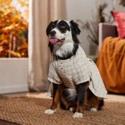 Frisco Tweed Weave Ruffle Skirt Dog & Cat Dress 12 Frisco Tweed Weave Ruffle Skirt Dog & Cat Dress -Pet Cat Shop 353649 PT6. AC SS1800 V1660750168