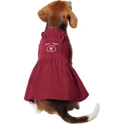 Frisco Sleepy Face Dog & Cat Dress -Pet Cat Shop 353657 PT2. AC SS1800 V1659008189