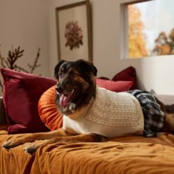 Frisco Plaid Dog & Cat Sweater Dress -Pet Cat Shop 353673 PT7. AC SS1800 V1660750173