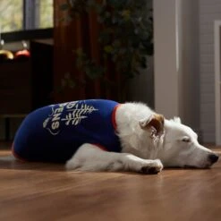 Frisco Shed Happens Dog & Cat T-Shirt -Pet Cat Shop 353698 PT7. AC SS1800 V1660749629