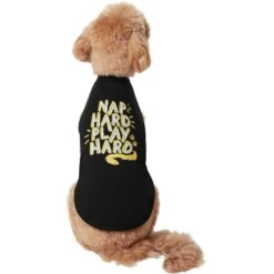 Frisco Nap Hard Play Hard Dog & Cat T-Shirt -Pet Cat Shop 353713 PT2. AC SS1800 V1659010872