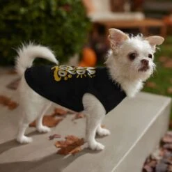 Frisco Nap Hard Play Hard Dog & Cat T-Shirt -Pet Cat Shop 353713 PT7. AC SS1800 V1660750172