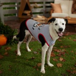 Frisco Little Champ Dog & Cat T-Shirt -Pet Cat Shop 353722 PT7. AC SS1800 V1660749632