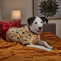 Frisco Hedgehog Dog & Cat Fleece Pajamas 12 Frisco Hedgehog Dog & Cat Fleece Pajamas -Pet Cat Shop 353730 PT6. AC SS1800 V1660749991