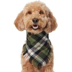 Frisco Plaid Fringe Dog & Cat Bandana -Pet Cat Shop 353769 PT2. AC SS1800 V1659010812