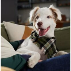 Frisco Plaid Fringe Dog & Cat Bandana -Pet Cat Shop 353769 PT6. AC SS1800 V1660749811