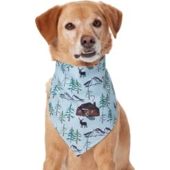 Frisco Moose Lodge Dog & Cat Bandana 10 Frisco Moose Lodge Dog & Cat Bandana -Pet Cat Shop 353774 PT2. AC SS1800 V1659008241