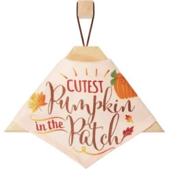 Frisco Cutest Pumpkin In The Patch Dog & Cat Bandana -Pet Cat Shop 353777 PT4. AC SS1800 V1663343389