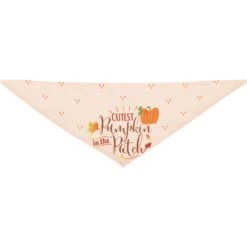 Frisco Cutest Pumpkin In The Patch Dog & Cat Bandana -Pet Cat Shop 353777 PT5. AC SS1800 V1659725687
