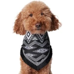 Frisco Southwest Fringe Dog & Cat Bandana 10 Frisco Southwest Fringe Dog & Cat Bandana -Pet Cat Shop 353783 PT2. AC SS1800 V1659007315
