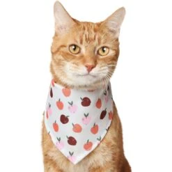 Frisco Apple Dog & Cat Bandana