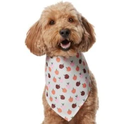Frisco Apple Dog & Cat Bandana 10 Frisco Apple Dog & Cat Bandana -Pet Cat Shop 353786 PT2. AC SS1800 V1661275129