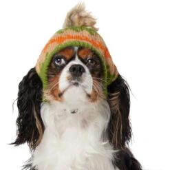 Frisco Striped Poof Dog & Cat Knitted Hat -Pet Cat Shop 353793 PT2. AC SS1800 V1659008241
