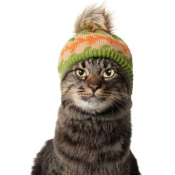 Frisco Striped Poof Dog & Cat Knitted Hat -Pet Cat Shop 353793 PT3. AC SS1800 V1659011014